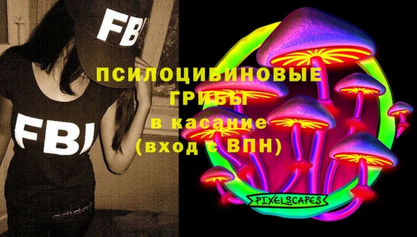трава Верхнеуральск