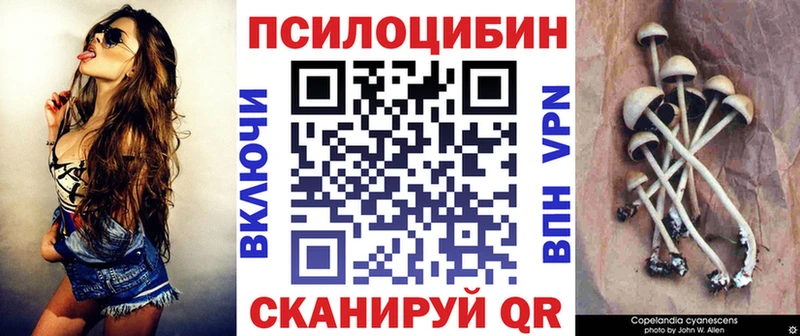 Галлюциногенные грибы Psilocybe  Купить где  Краснознаменск 